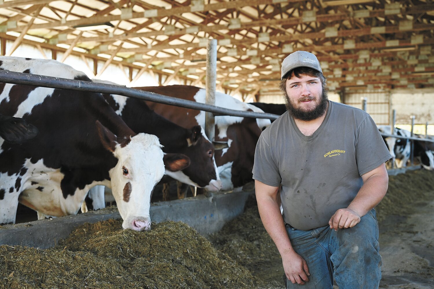 Back up and running - Dairy Star